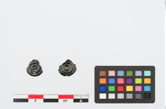 Foto von Bronzescheiben (NHMW-PRAE-024925)